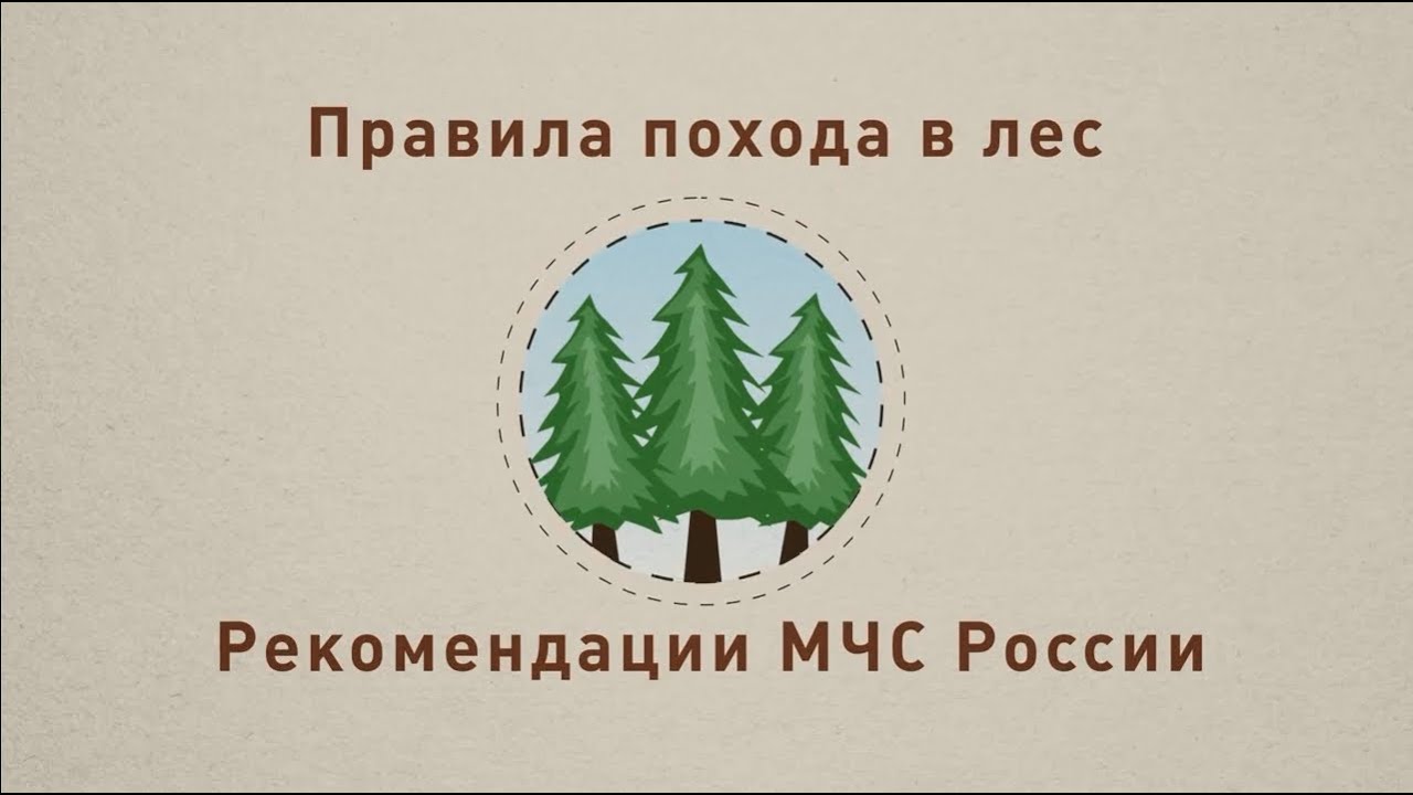 Надо лес. Таблички в лесу для потерявшихся. Лесной совет. МЧС рекомендует поход в лес. Советы идущему в лес рисунок.