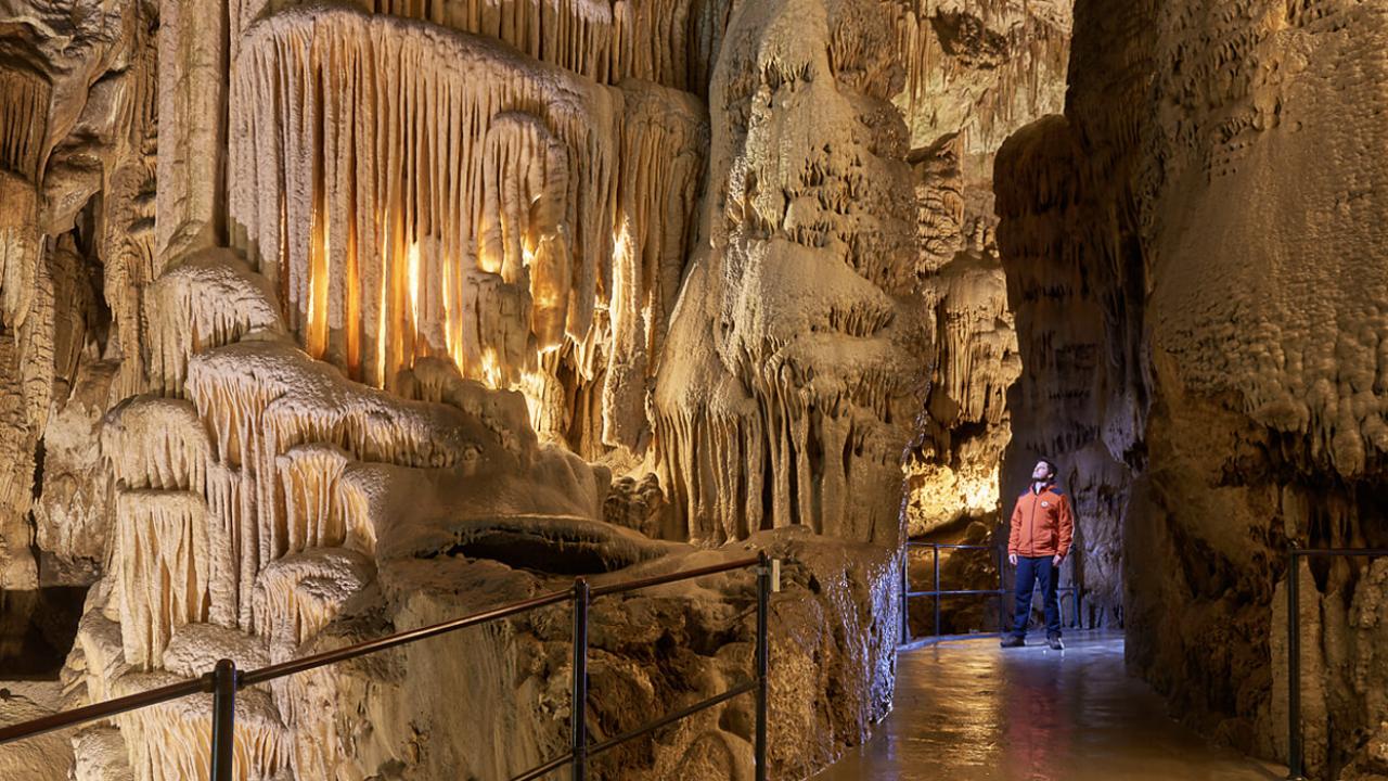Postojna Cave