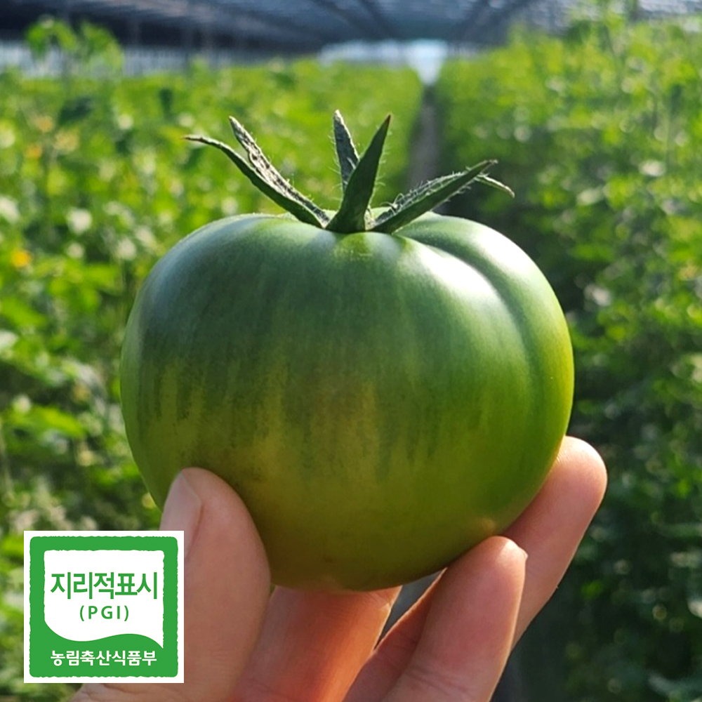 ★산지직송★대저토마토(1~3kg)