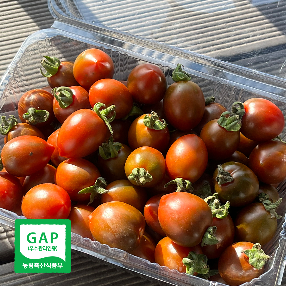 ★산지직송★흑대추방울토마토