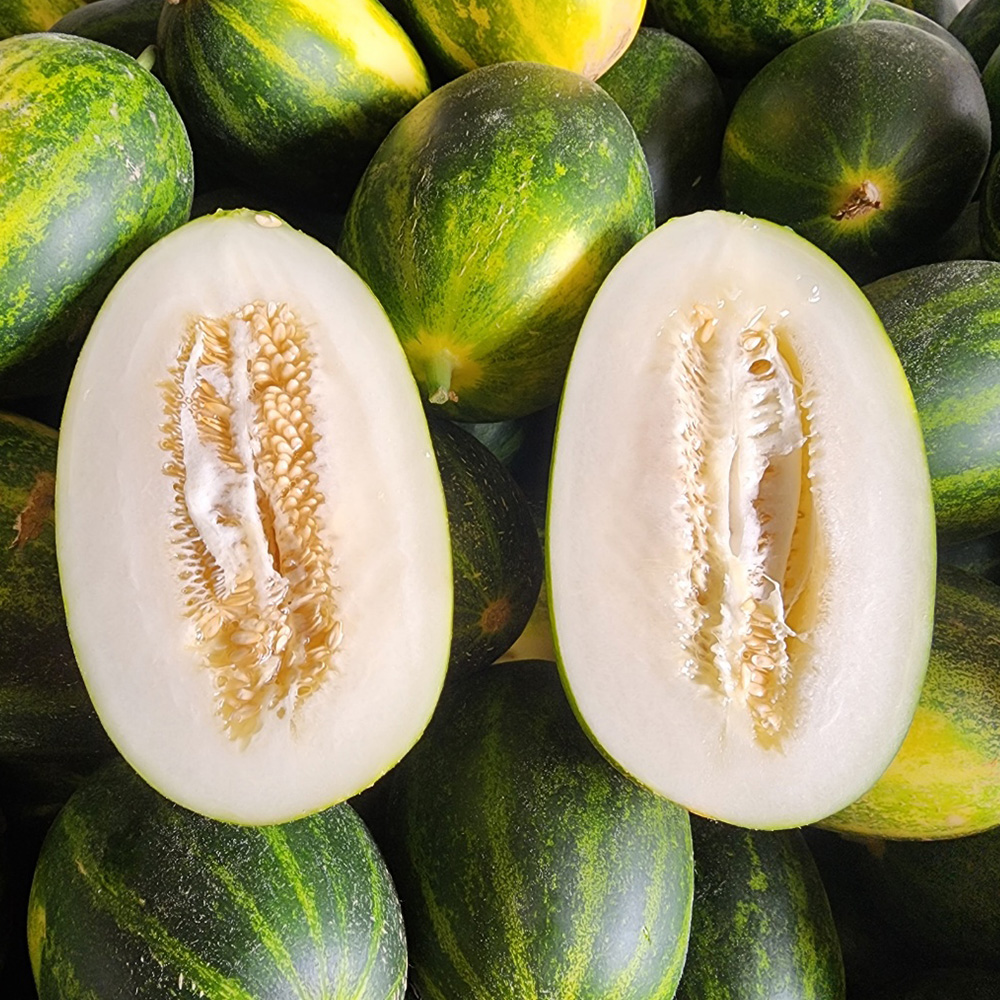 고령 파파야메론