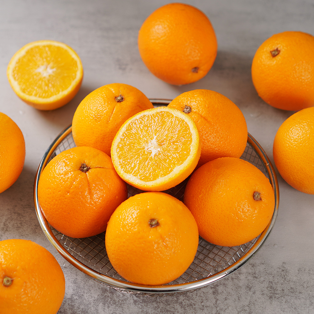 퓨어스펙 블랙라벨 오렌지