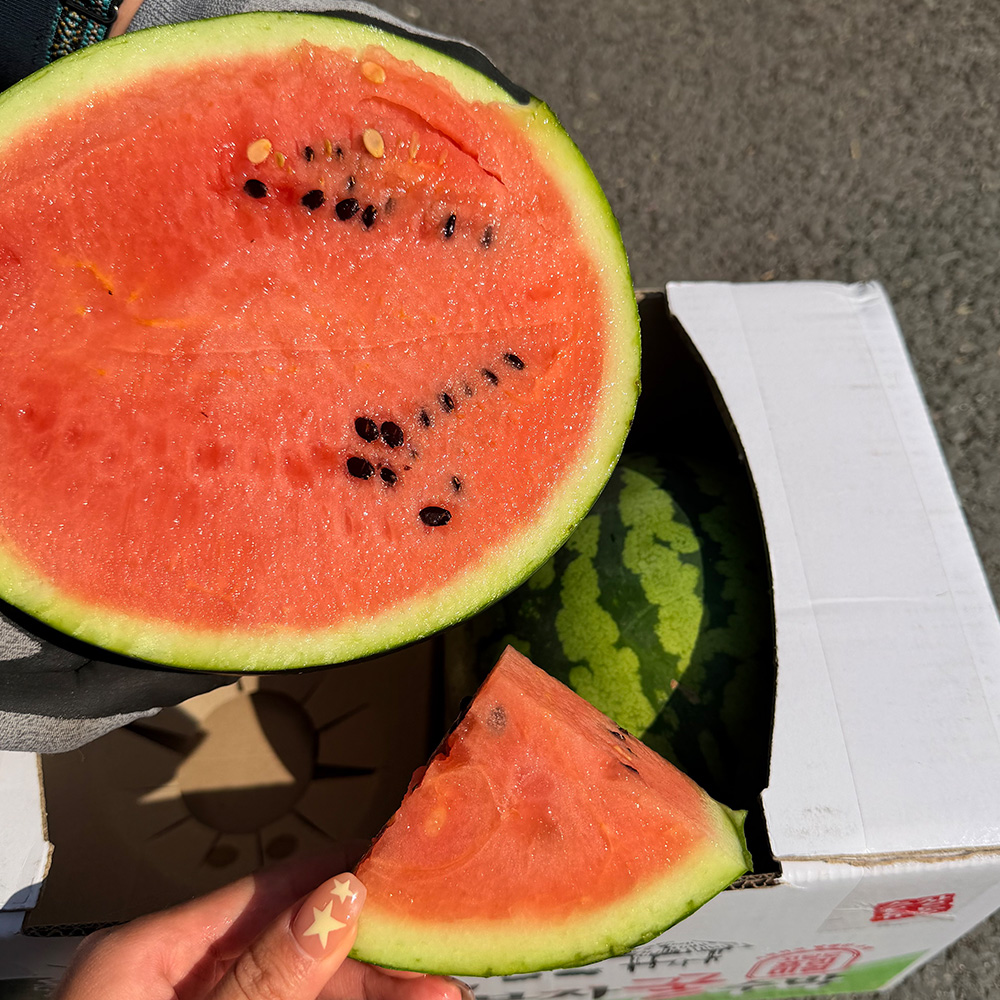 하우스 수박 고당도 꿀수박 산지직송 특상품