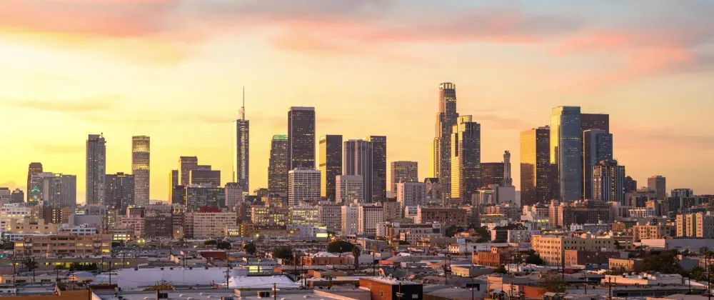 A Startup Superbloom: Tech You Should Know