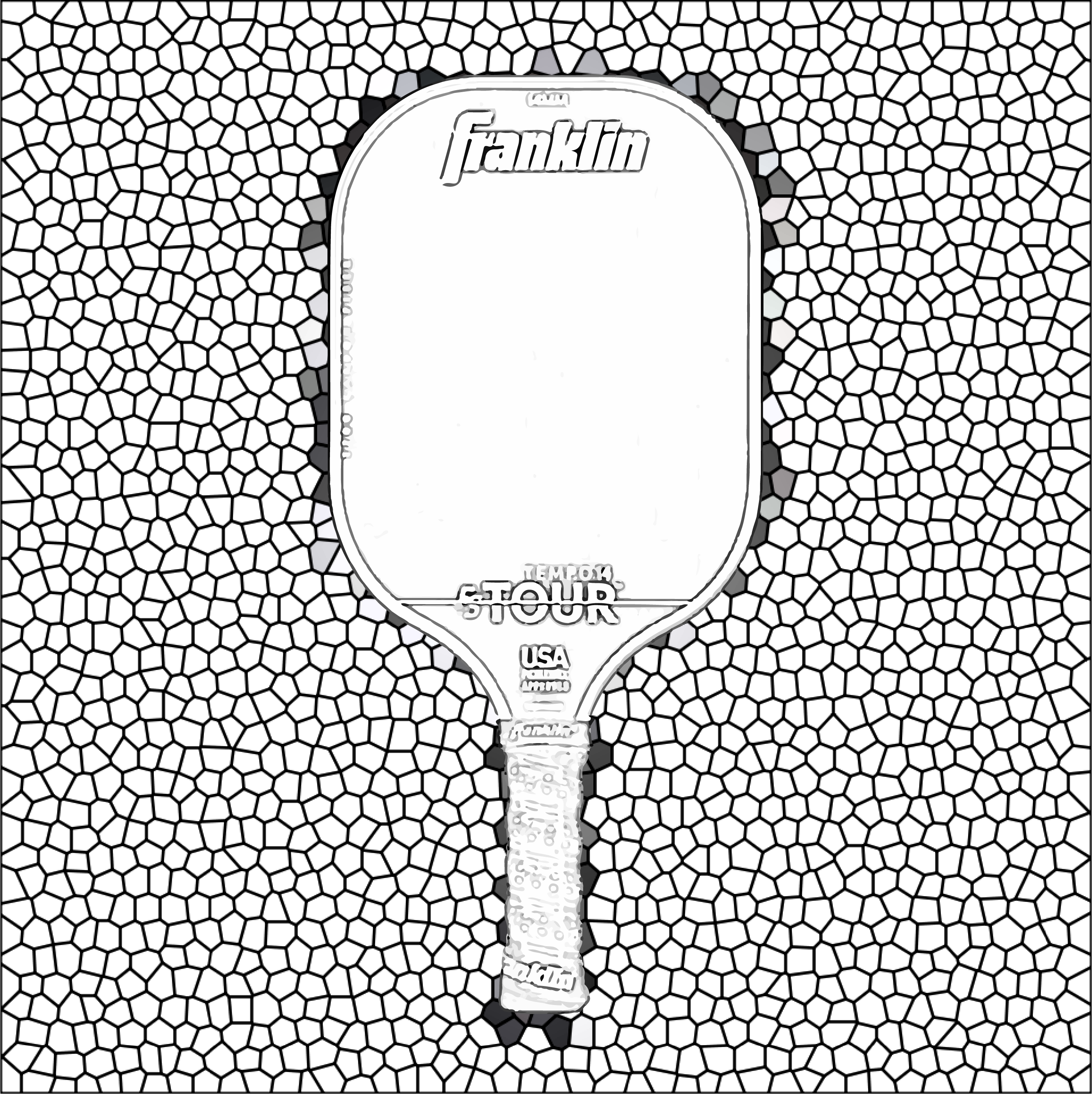 The Franklin Tour paddle