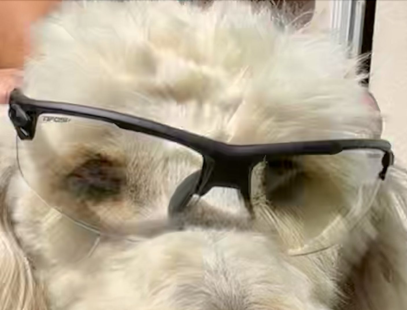 My Take on Tifosi Optics Rivet Glasses