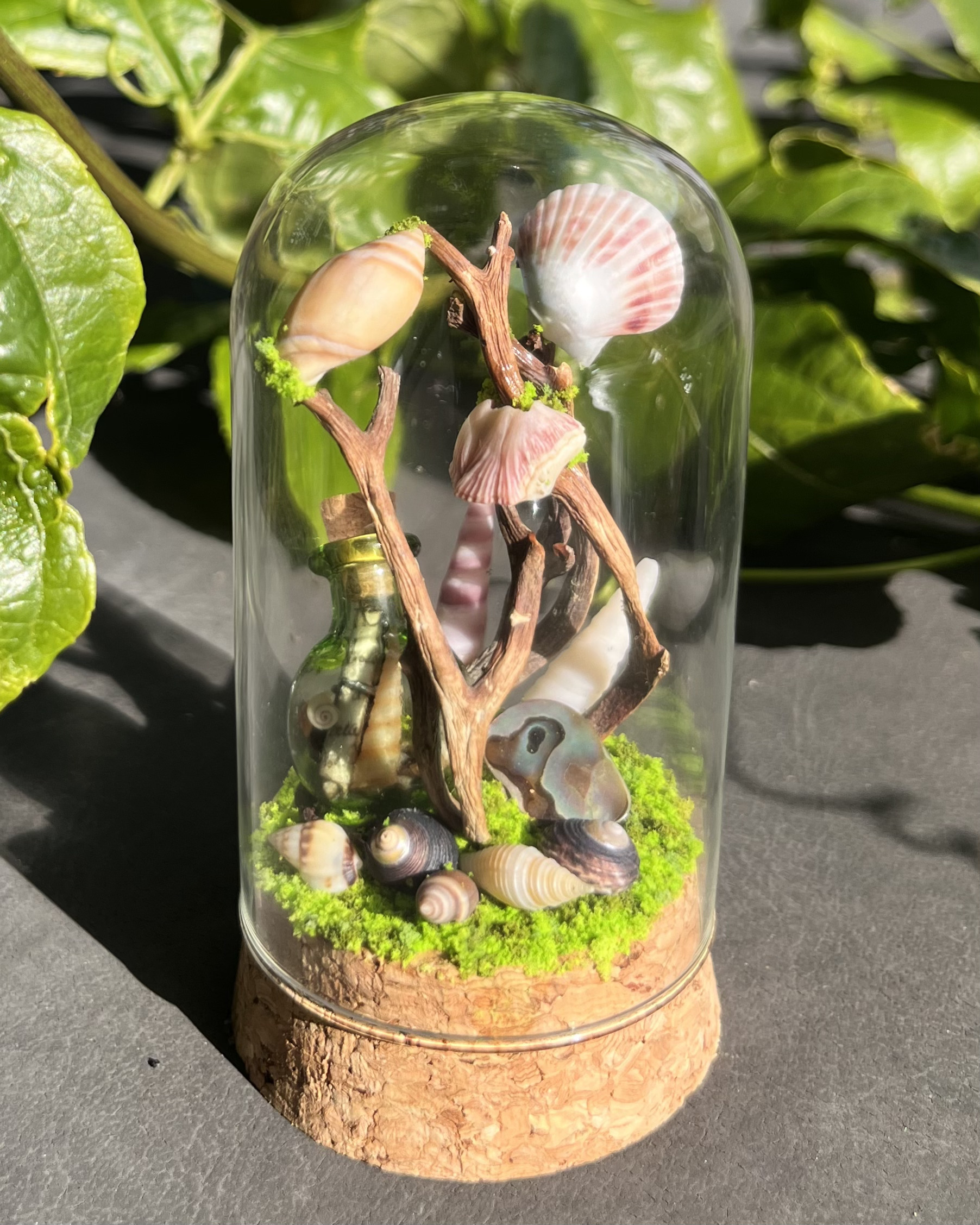 Medium Dome