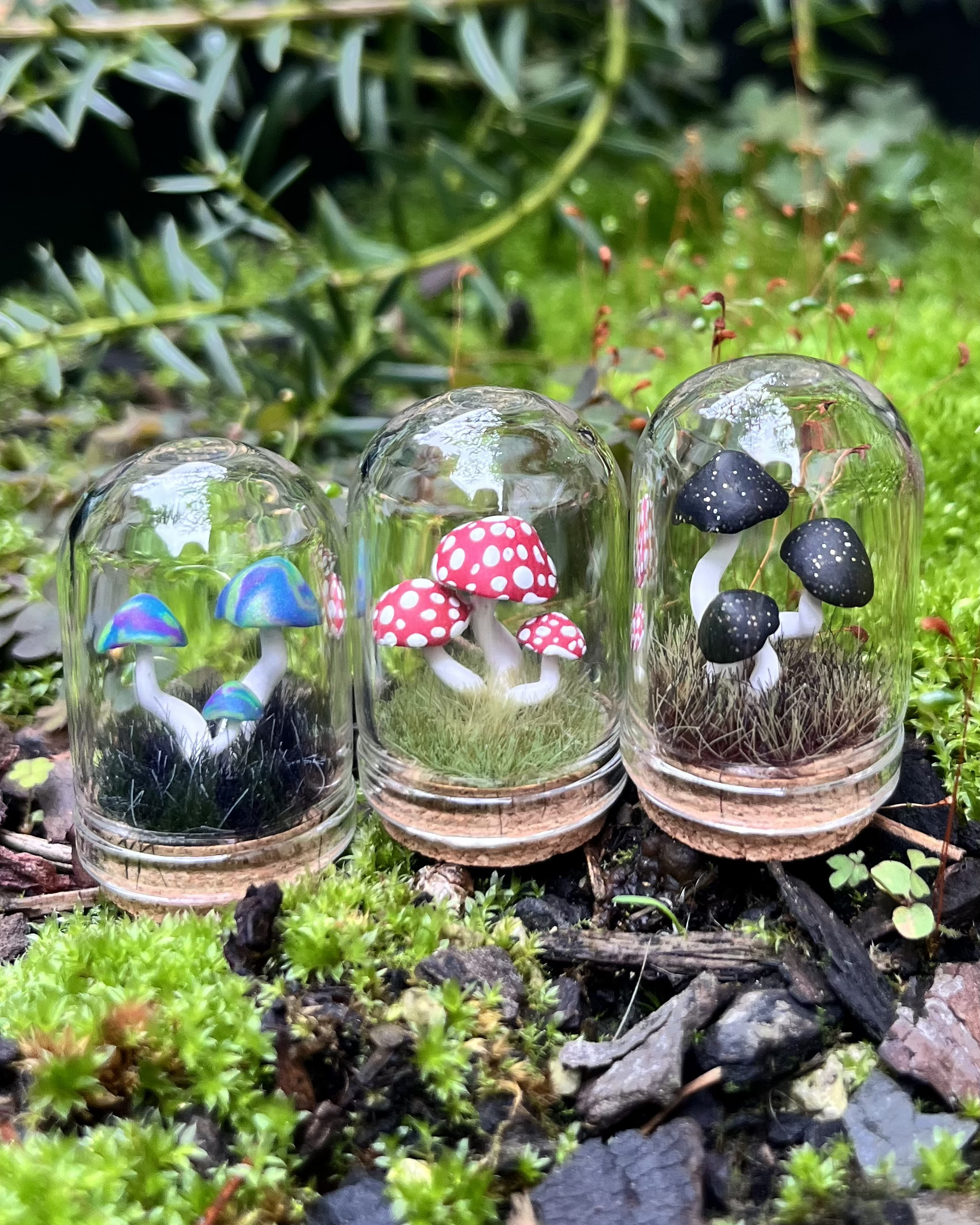 Mini Domes