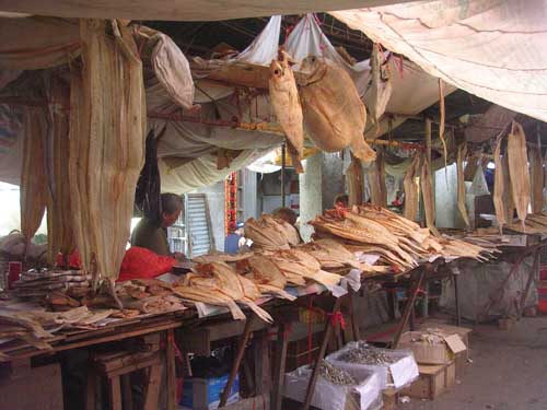 Haikou Dongmen Market