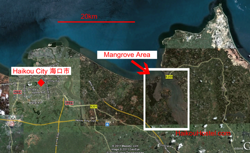 map of Mangroves near Haikou