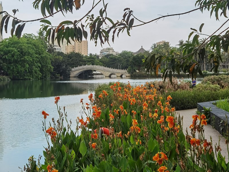 East Lake next to Renmin Park