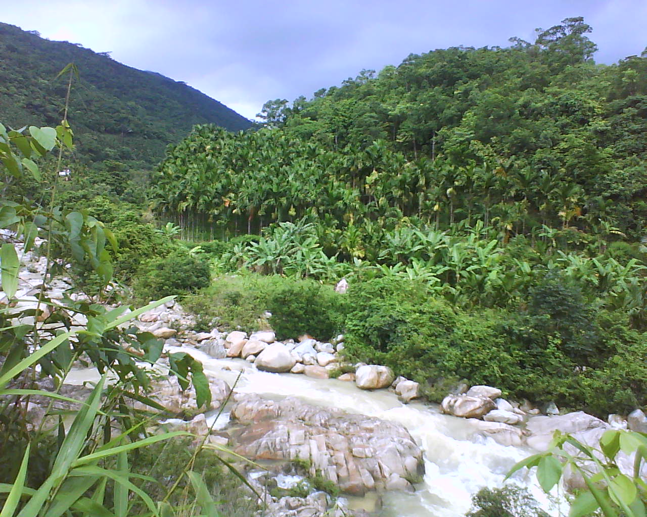 Diaoluoshan Nature Reserve