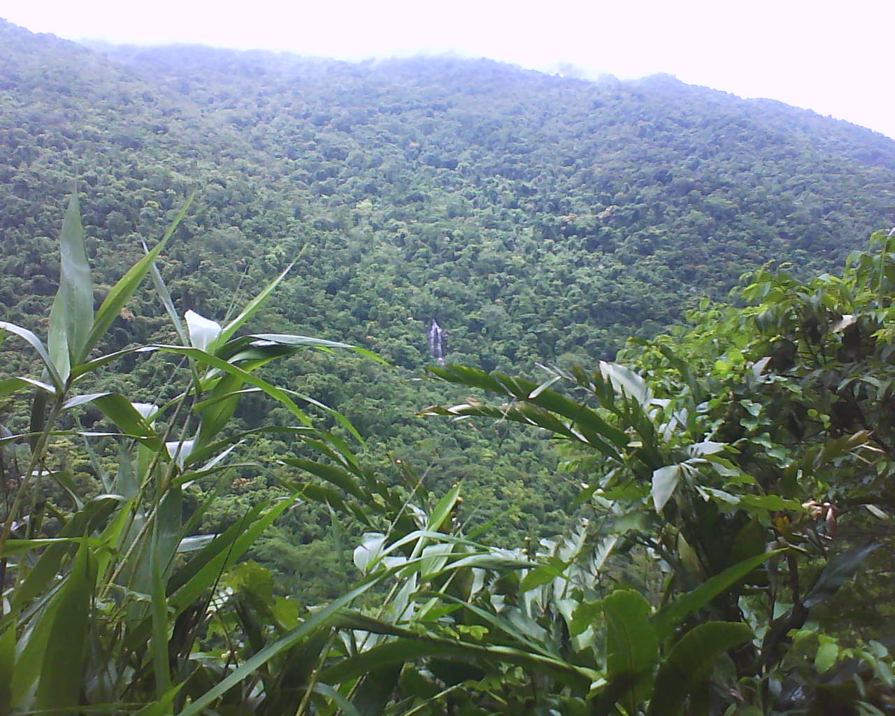 Diaoluoshan Nature Reserve