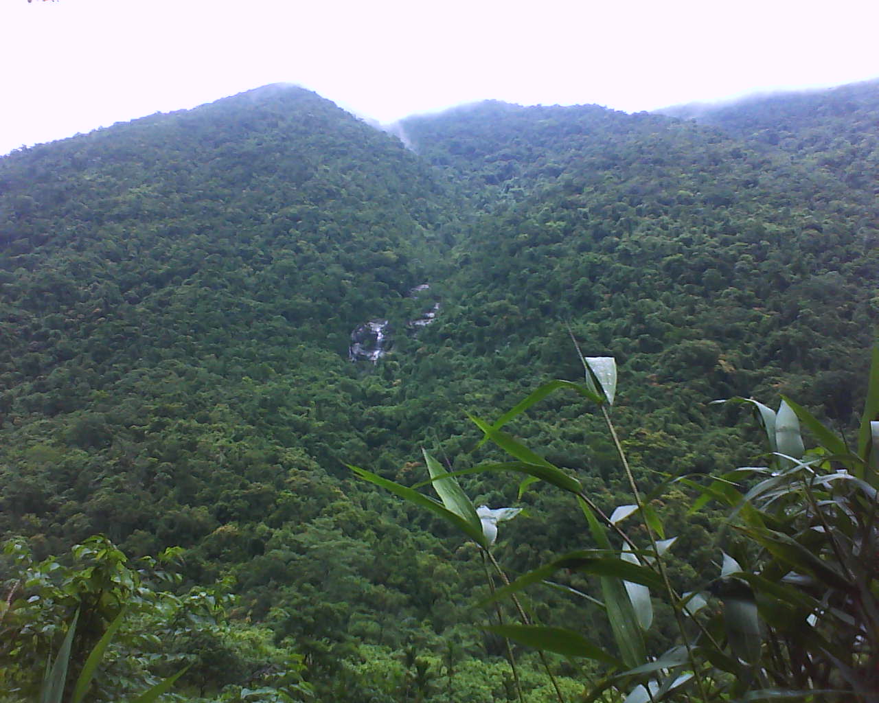 Diaoluoshan Nature Reserve