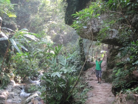 Wuzhishan Mountain