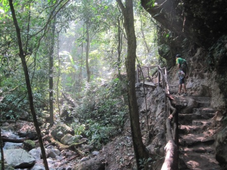 Wuzhishan Mountain