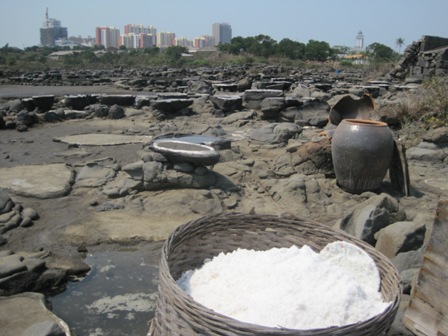 Yangpu Saltfield