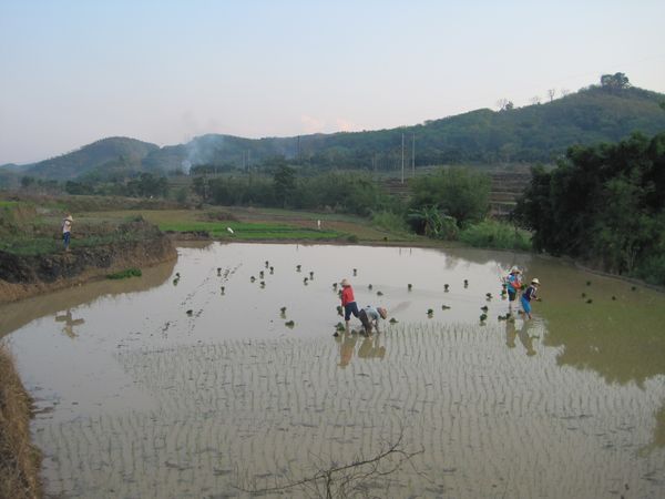 Baisha County along the S310 road