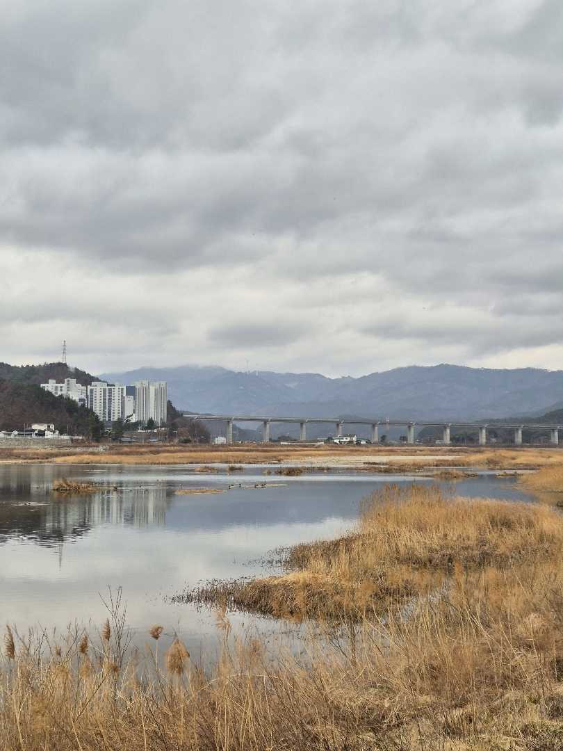 남대천 Namdaecheon