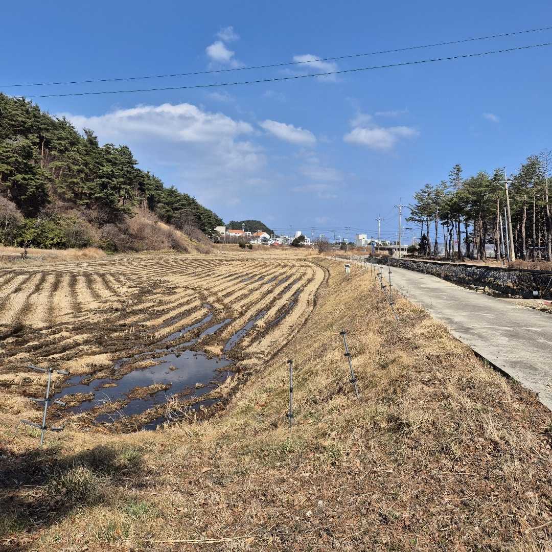 기사문 쟁기동길 Gisamun Jaeng-gidong-gil
