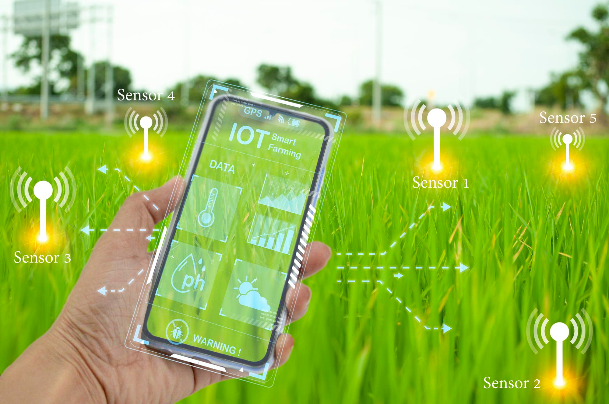 Complete IoT development India