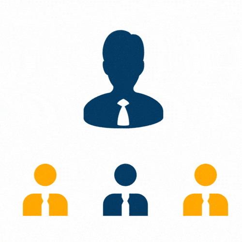 We offer Project Management