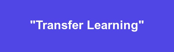 Fluency Moment banner