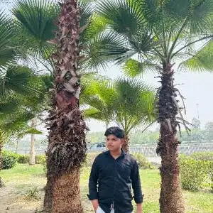 Anshul Rathore