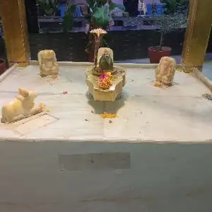 Tanu