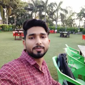 Vivek Mishra - Science & Mathematics Home Tutor