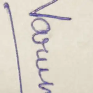 Varun Shukla - Mathematics & English Home Tutor