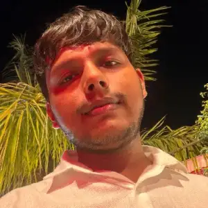 Vivek Maurya - Mathematics & Physics Home Tutor