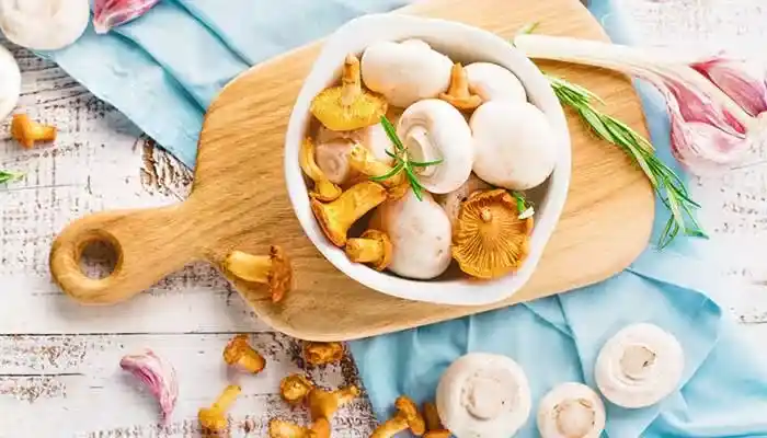 در قدم اول باید در زمینه پرورش قارچ اطلاعات داشته باشید