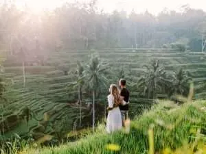 Tegalalang Rice Terraces with Swing
