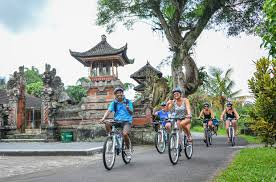 Downhill Cycling Through Rice Fields
