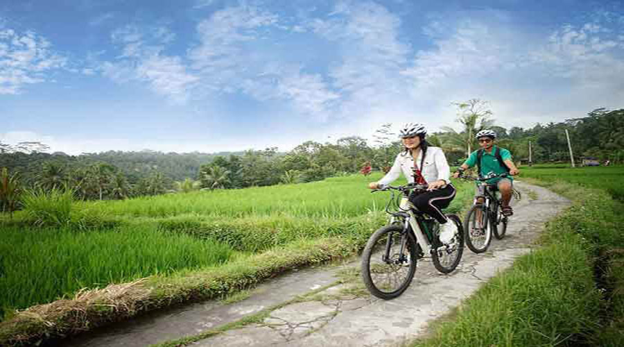 Bali Downhill Cycling Tour