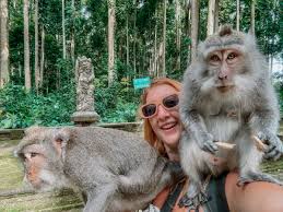 Ubud Monkey Forest Sanctuary