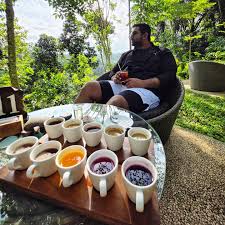 Bali Coffee Plantation