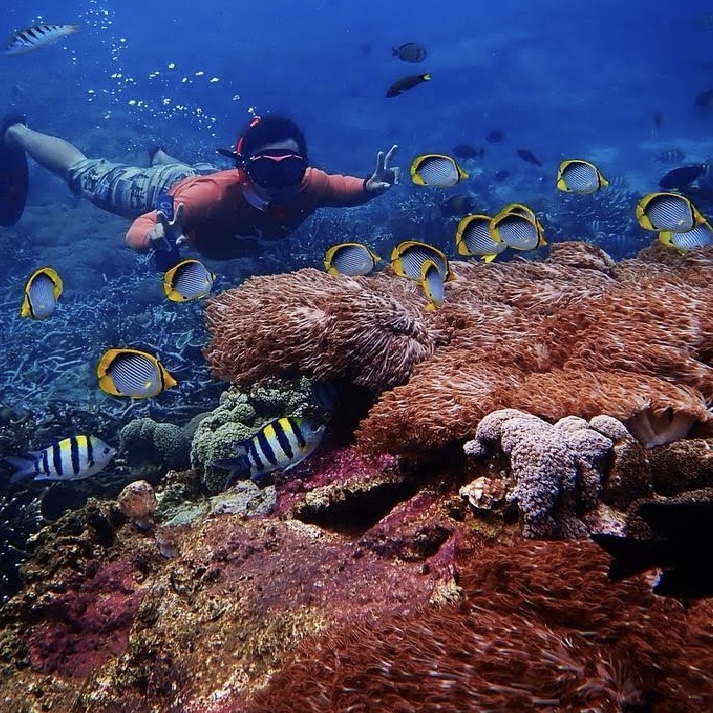 Snorkeling in Tejakula