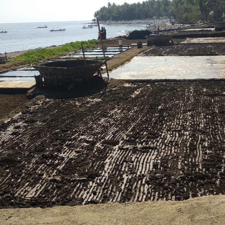 Traditional Sea Salt Production Tejakula