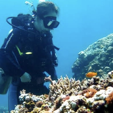 Diving in Tejakula
