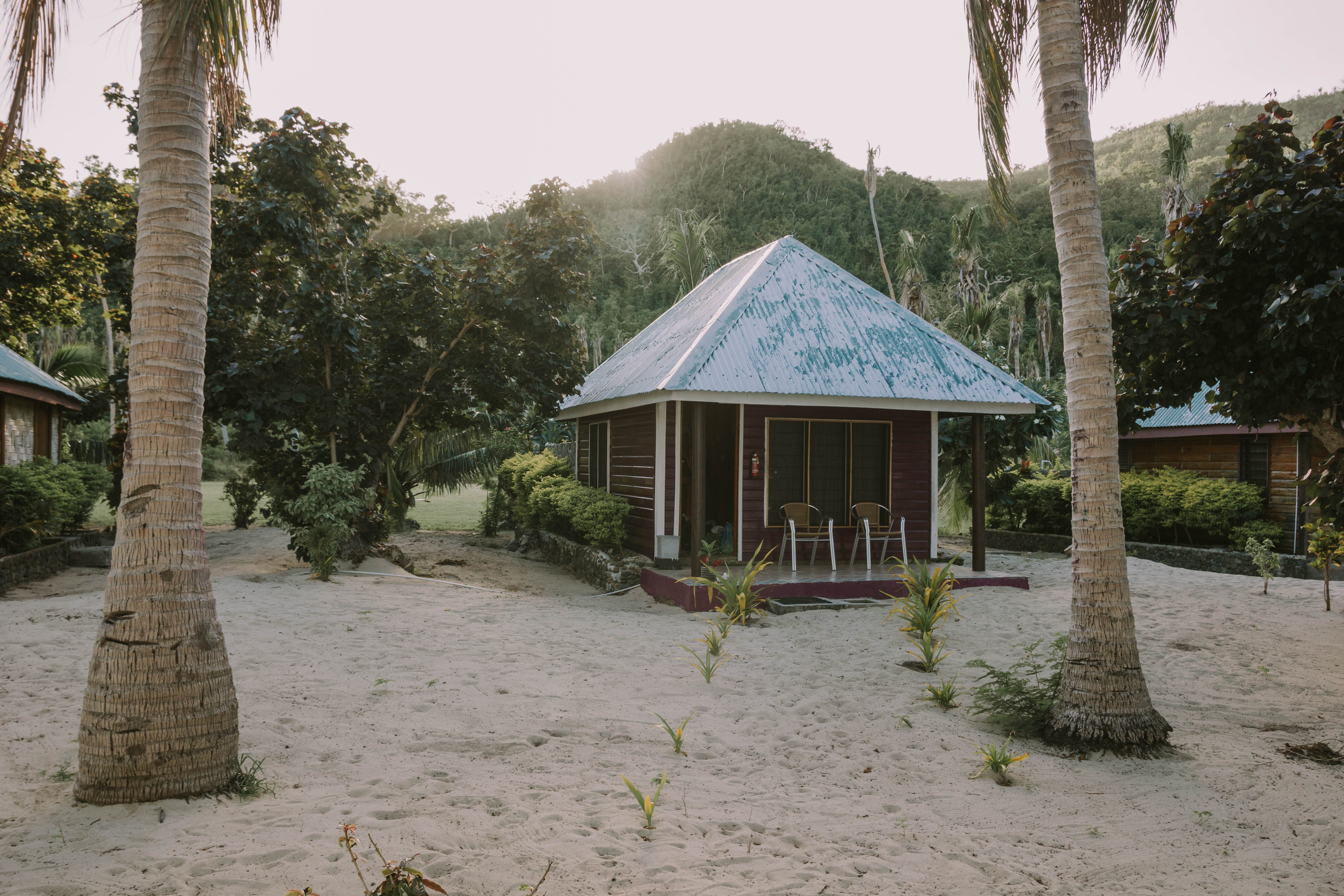 Hut on a beach surrounded by palm trees