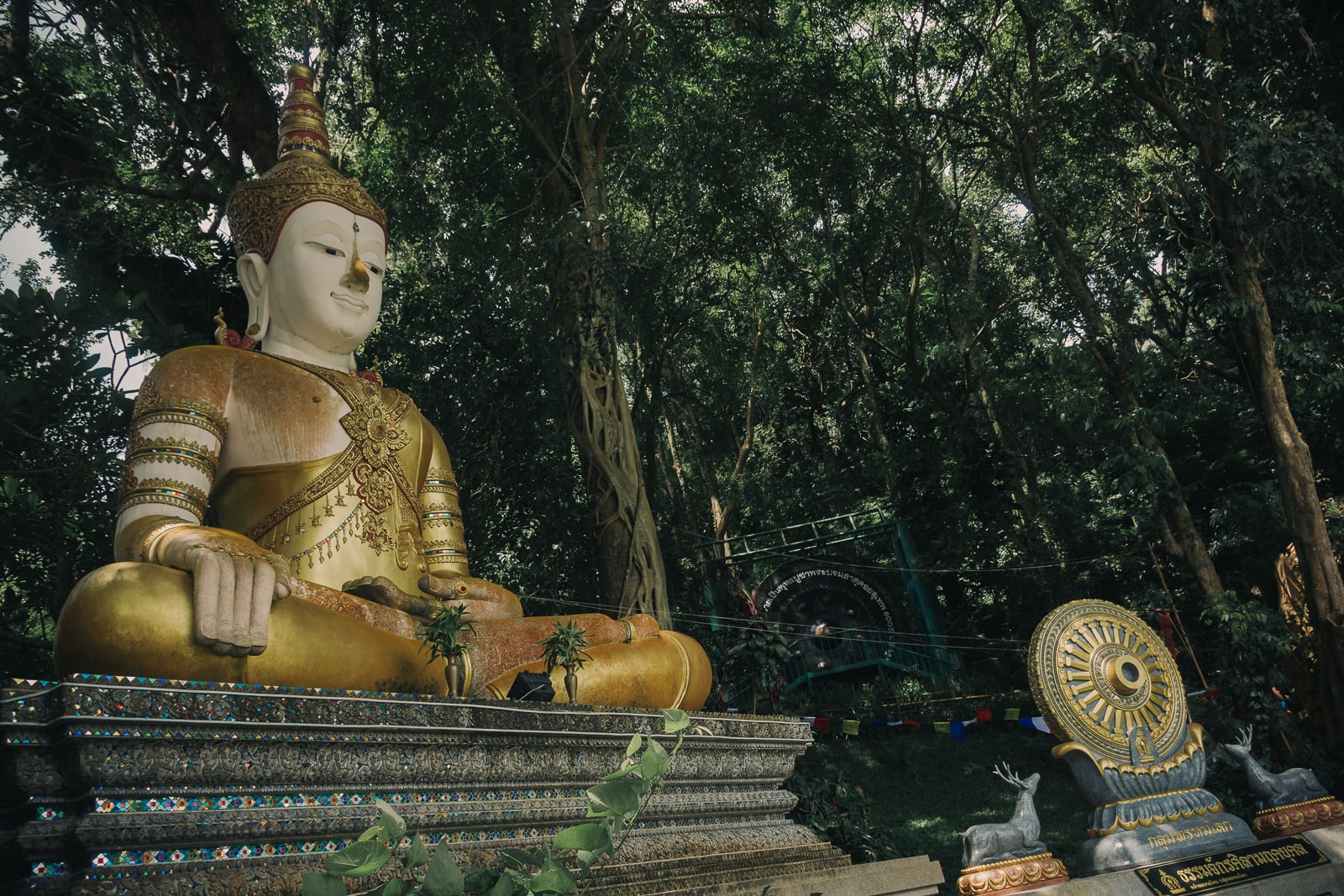 Buddha statue surrounded by trees
