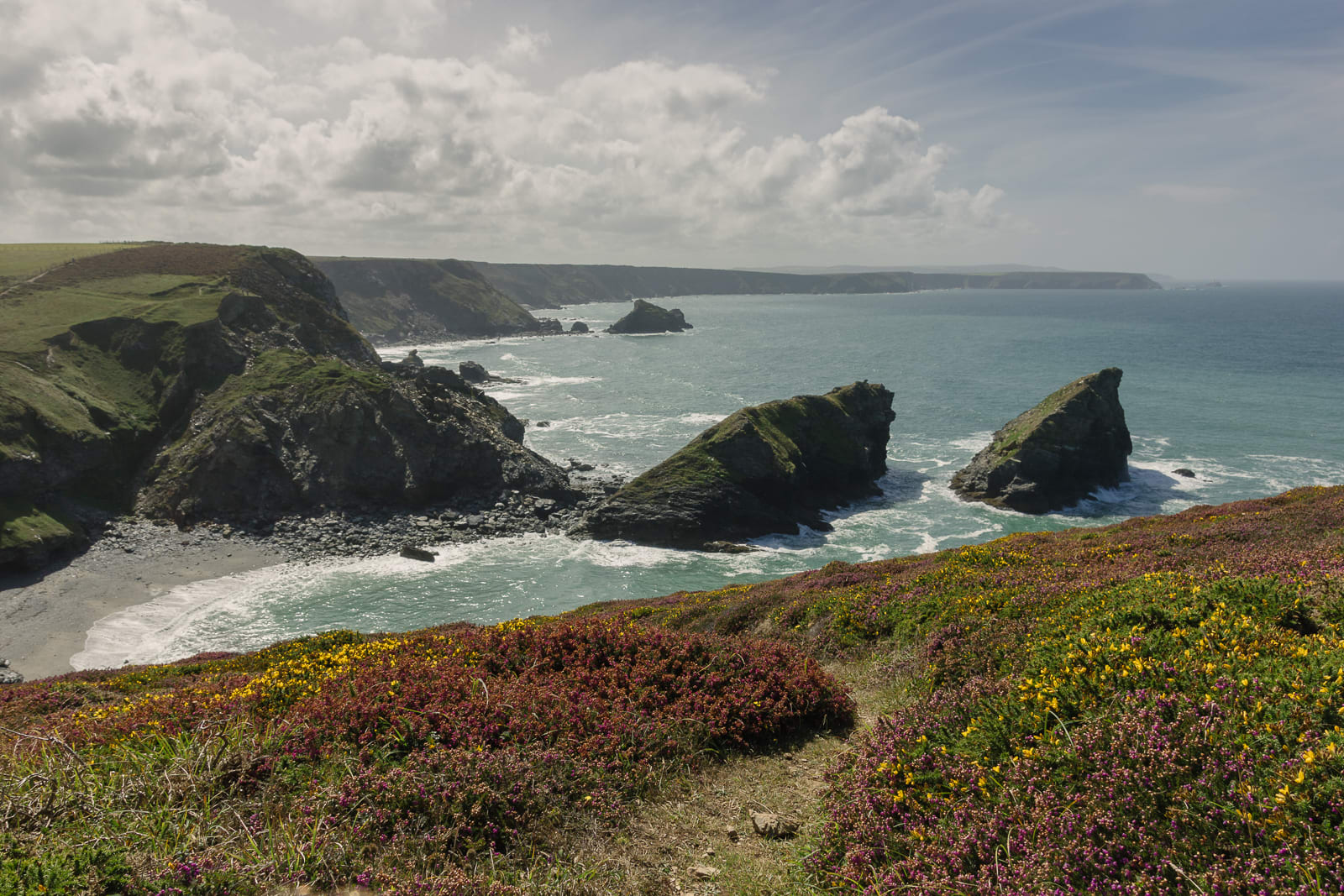 Colourful bushes overlooking rock formations in the sea