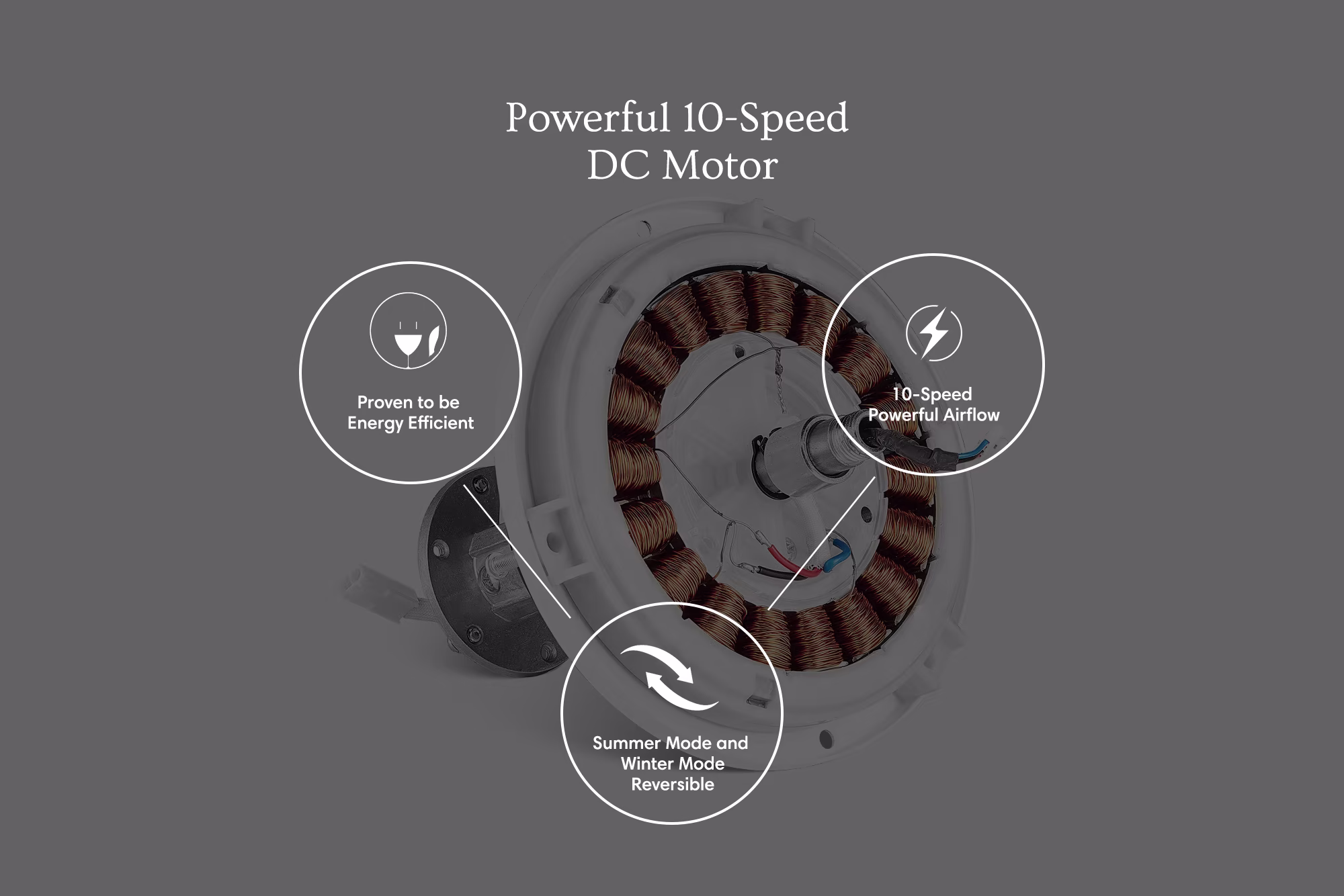 Carro-Smafan-Apex-Indoor-Outdoor-Bright-Smart-Ceiling-Fan-with-remote-10-speed-DC-motor