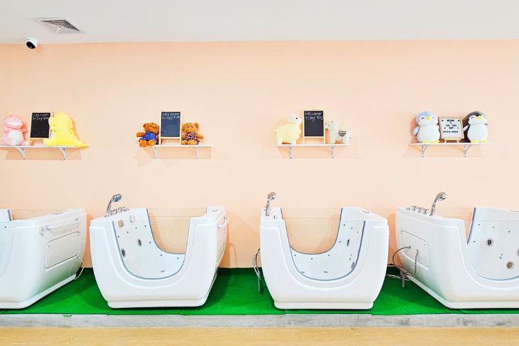 Tiny Tides Baby Spa