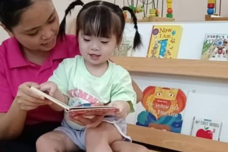 Pink Tower Childcare Centre 