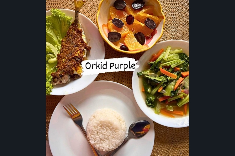 Orkid Purple Confinement Centre