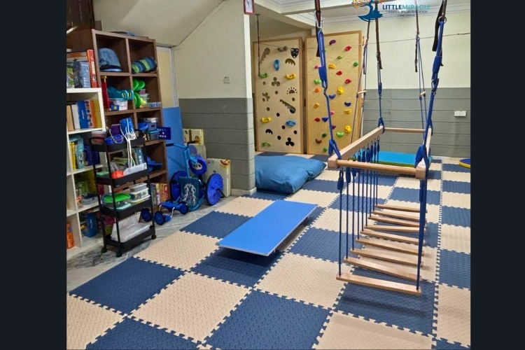 Little Miracle Therapy & Special Education Care Centre
