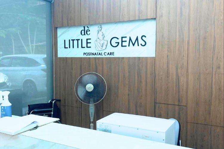 Little Gems Postnatal Care